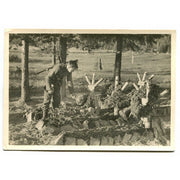 BATTLE OF THE SS MOUNTAIN DIVISION "NORTH" IN KARELIA POST CARD"NEVER FORGOTTEN"