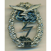 GERMAN GROUND COMBAT BADGE OF THE AIR FORCE 75 ACTIONS