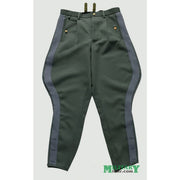 GERMAN WWII SS GENERAL GRAY STRIPE BREECHES