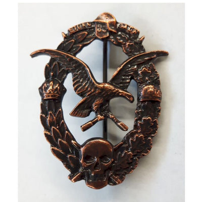 GERMAN AUSTRIAN STORMTROOPER BADGE