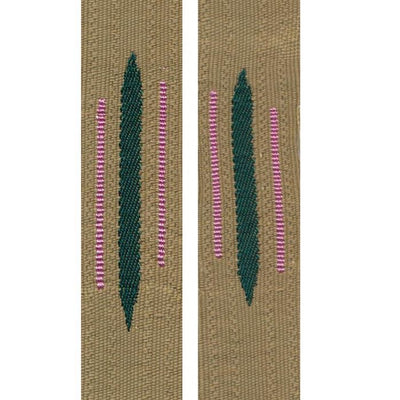 GERMAN EM PANZER BEVO LITZEN COLLAR TABS