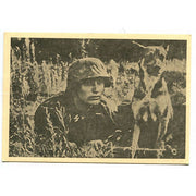 UNSERE WAFFEN SS POST CARD "THE MESSENGER AND HIS DOG"