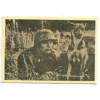 UNSERE WAFFEN SS POST CARD "THE MESSENGER AND HIS DOG"